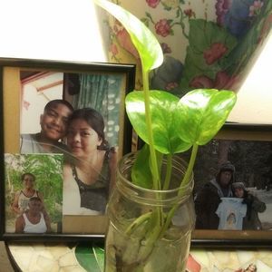 Meet your Posher, Janice